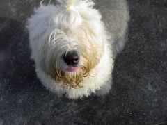 ��������e�B�A�q!