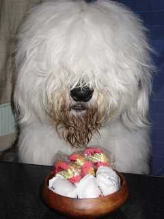 �l�̃I���c(�f��ӏ܂̎��̎p��)�ł��A���e���ɍs�������̓��R���R�t���t���őO�������Ȃ�����A��őO�������킦�Ă�����Ėڂ��o���Ă��炤