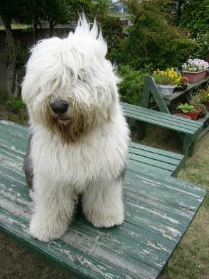 �l���������D���Ȃ񂾁B