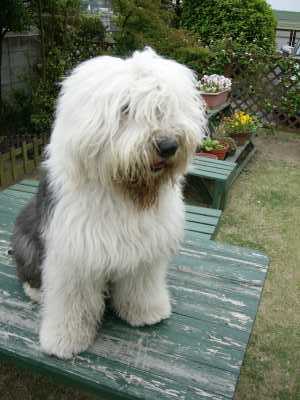 �o�[�x�L���[������l