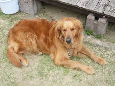 �ޏ����m���m�ł��B