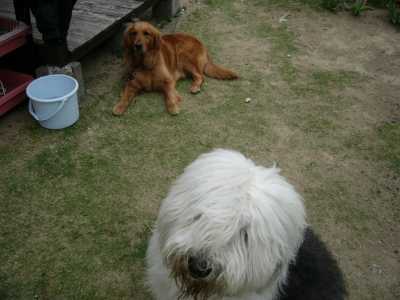 �l�ƃm���m�̃c�[�V���b�g!�B