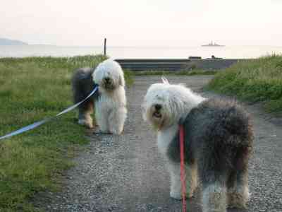 ���[�C���[�C�����C�ɍs������