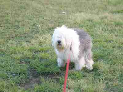 �p�������[! �e�B�A�q�̃E���`���O�X�^�C��