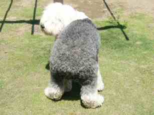 �e�B�A�q�̃E���`���O�X�^�C��(�͂������[��)���Ă�́[?!