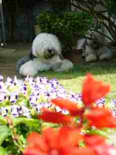 �e�B�A�q�Ə������̂ň�x�ݖ؉A�ŋx��