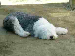 ����Ԃ�e�B�A�q