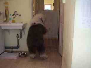 �F���[!�e�B�A�q���[