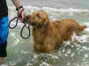 �m���m���C����