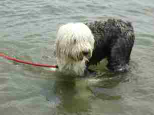 �������Ȃ�������ꂽ�[!