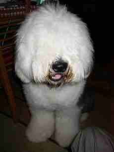 �l�̒a����