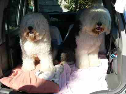 ���N�����C�Ȗl�����Ł[���B