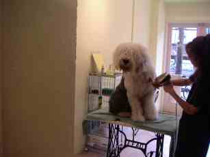 ����������?