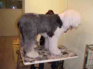 �X�b�L�������l