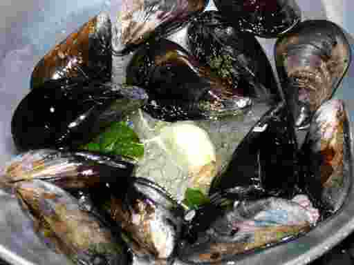 �����C��������B