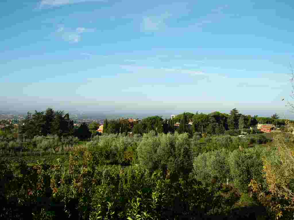 イタリア,カステッリロマーニ(ローマ近郊)のアグリトゥーリズモの庭