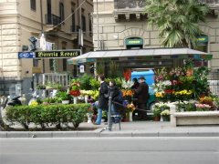 Palermo パレルモの花屋